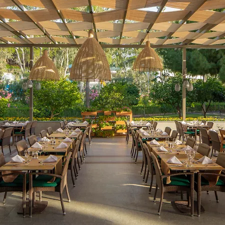 Arum Barut Collection 5*