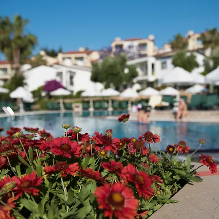 Arum Barut Collection 5* Σιντέ