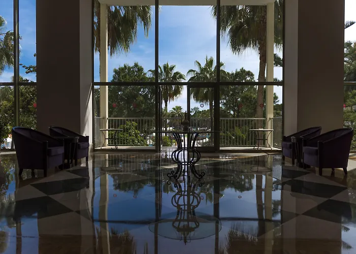 Arum Barut Collection 锡德