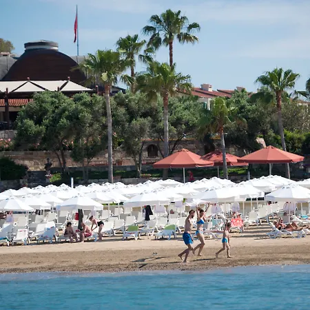 Arum Barut Collection 锡德