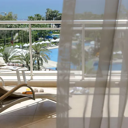 Arum Barut Collection 5* シダ