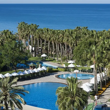 Arum Barut Collection 5* シダ