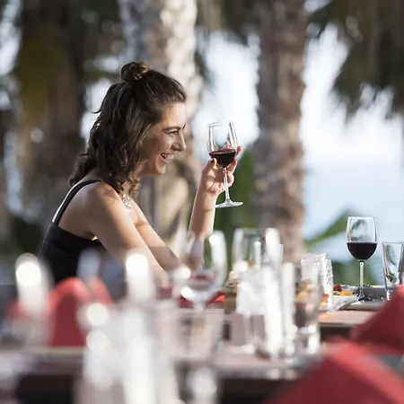 Arum Barut Collection シダ