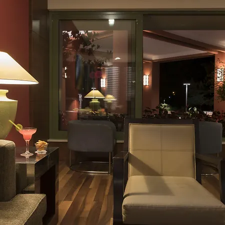 Arum Barut Collection シダ