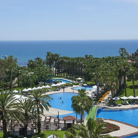 Arum Barut Collection シダ